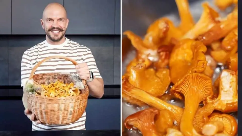 як готувати лисички