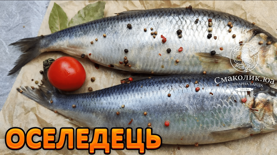 Як засолити оселедець: смачні способи домашньої засолки