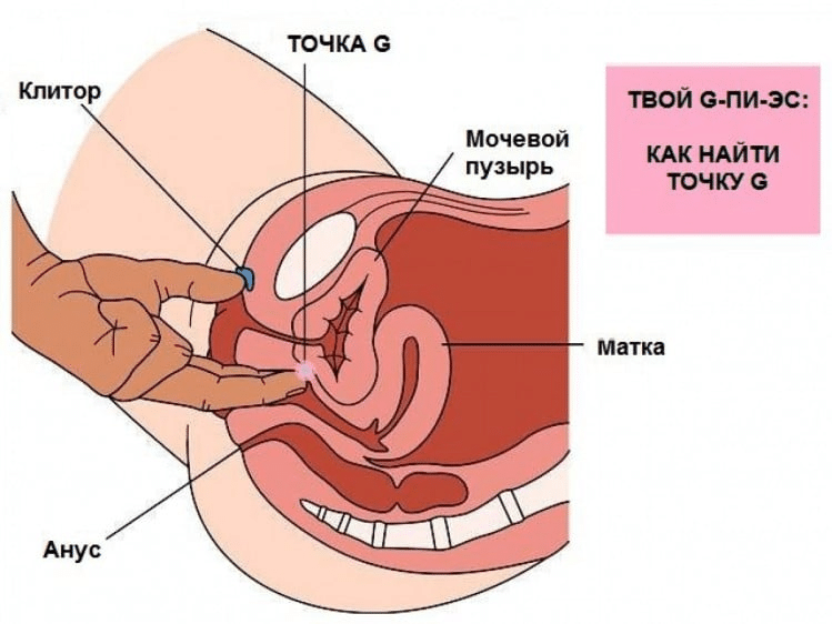 Як знайти точку G