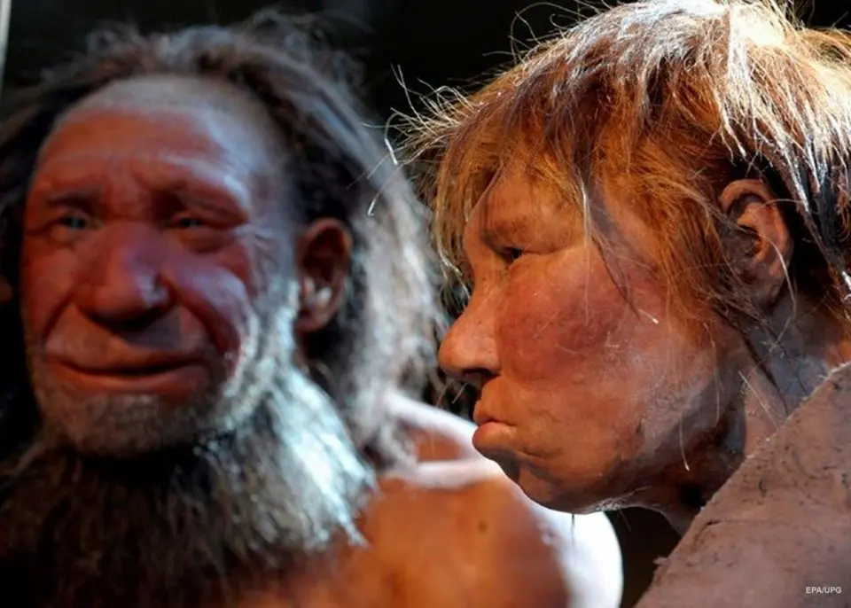 Чи існувала мова у неандертальців і якою вона могла бути?
