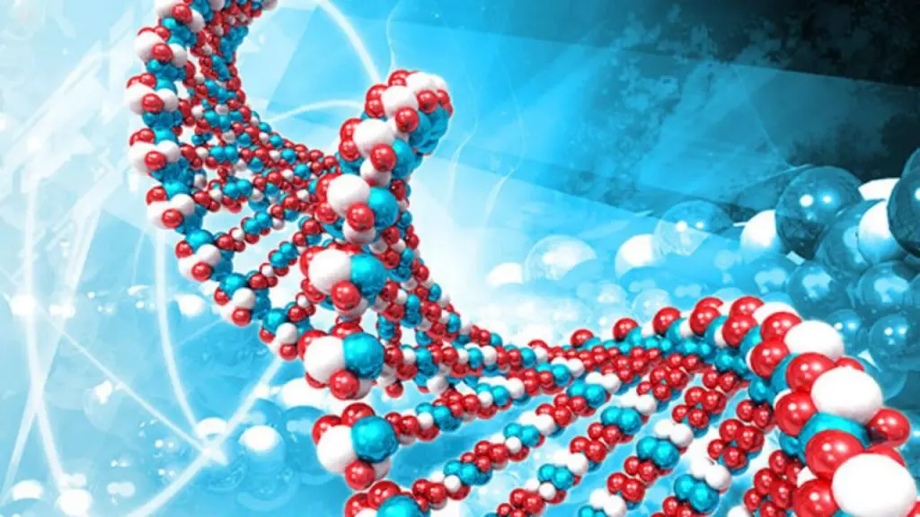 людська еволюція це