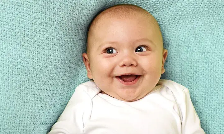 що означає Олесь