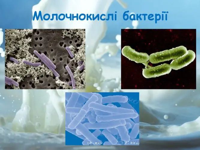 чому скисає молоко