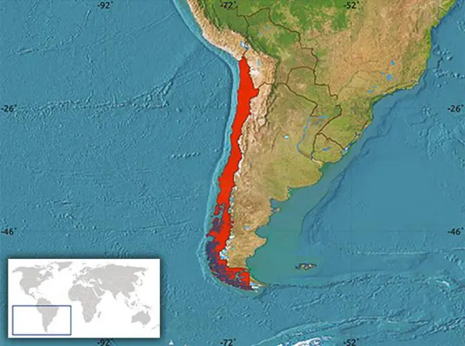 Найдовша країна світу