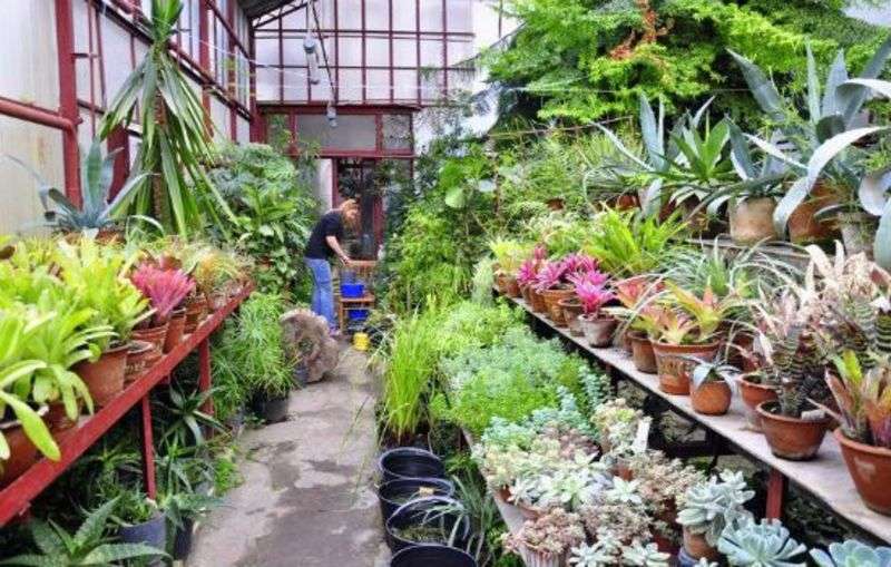 ТОП-17 місць, які варто відвідати в Чернівцях ТОП-17 місць, які варто відвідати в Чернівцях