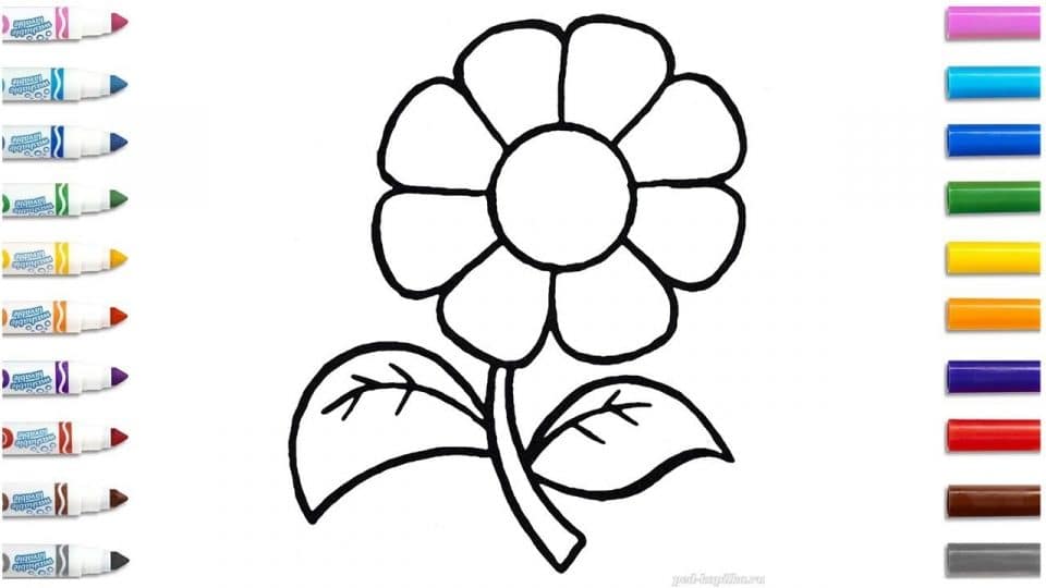 як намалювати квіти